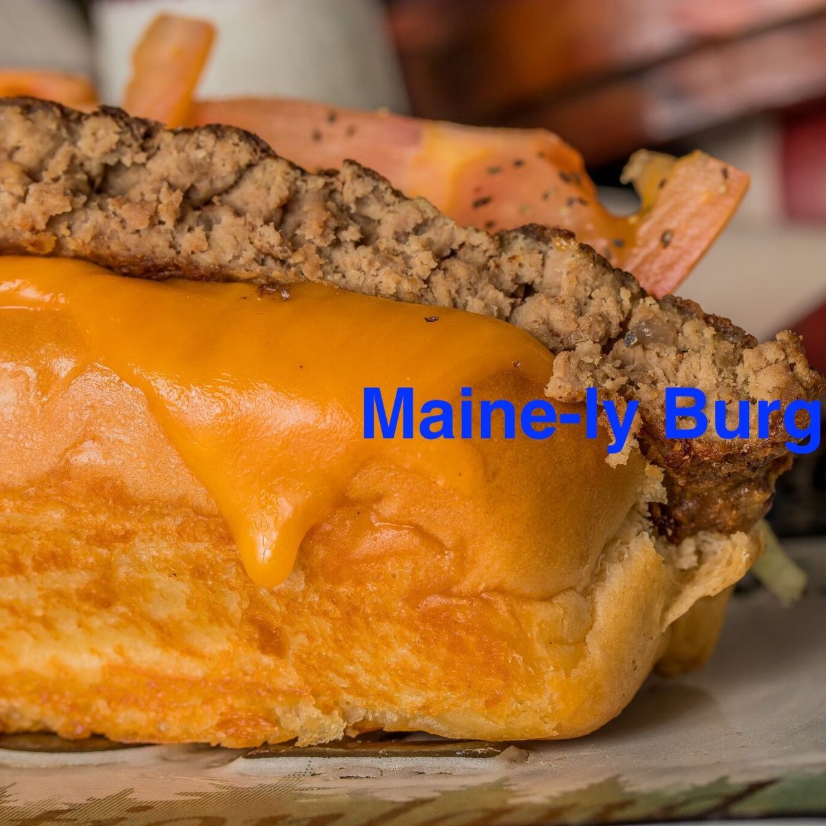 Hamburger
